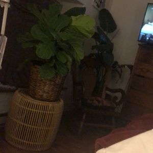 Meet your Posher, Tara